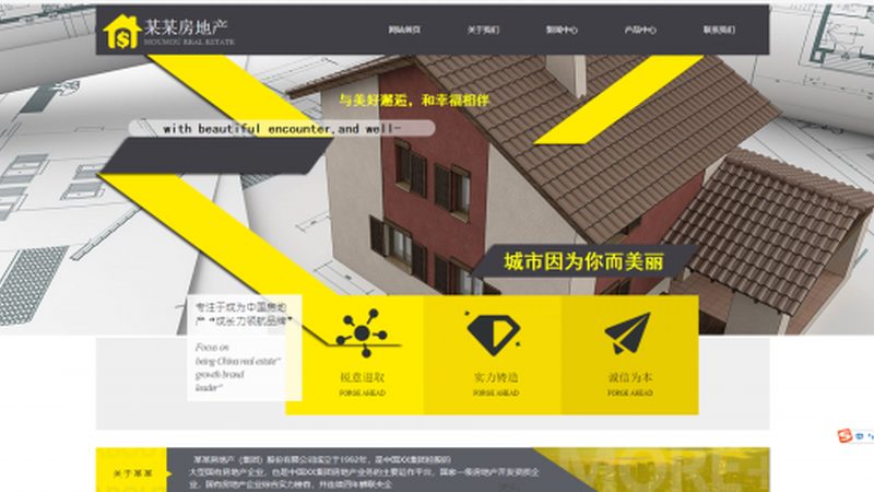网站开发语言选择：揭秘背后的技术逻辑