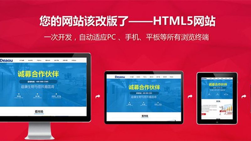 门户网站开发：价格背后的考量因素**